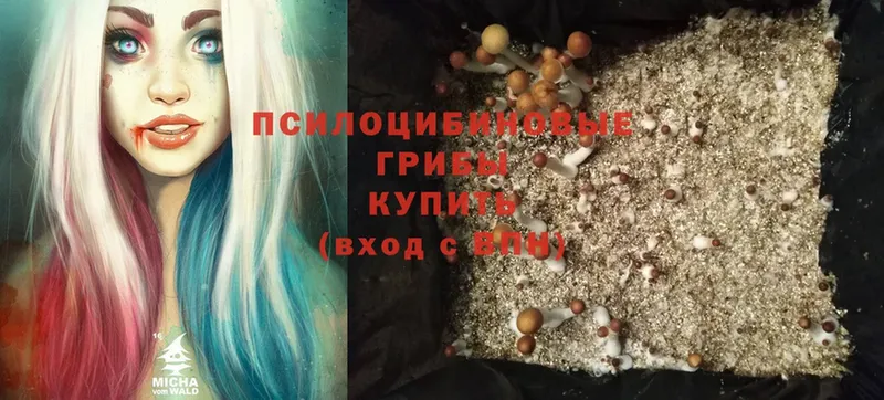 МЕГА как зайти  Новоалександровск  Псилоцибиновые грибы Magic Shrooms 